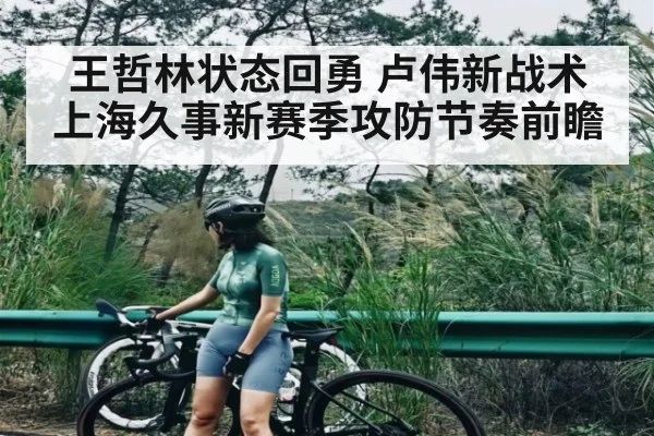 王哲林状态回勇 卢伟新战术 上海久事新赛季攻防节奏前瞻